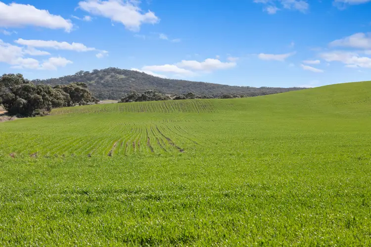 'Gum View Hills' Gorge Road