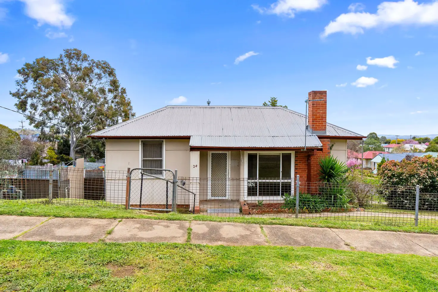 Main view of Homely house listing, 24 Phillip Avenue, Mount Austin NSW 2650