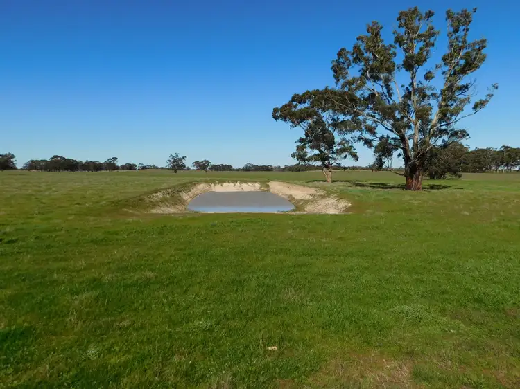Main view of Homely rural property listing, 693 Bangham Road, Bangham SA 5268