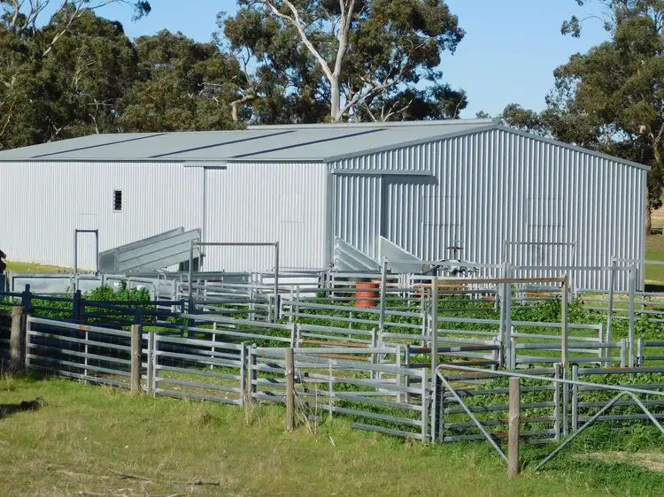 Third view of Homely rural property listing, 693 Bangham Road, Bangham SA 5268