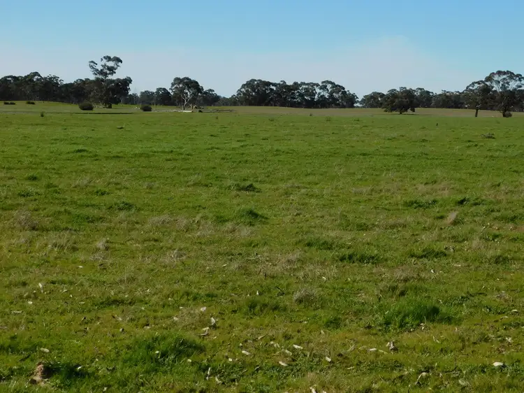 Sixth view of Homely rural property listing, 693 Bangham Road, Bangham SA 5268
