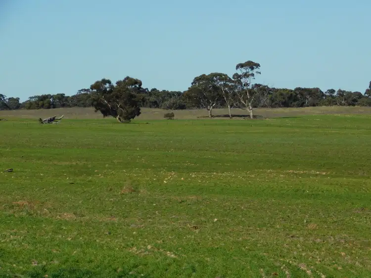 Seventh view of Homely rural property listing, 693 Bangham Road, Bangham SA 5268