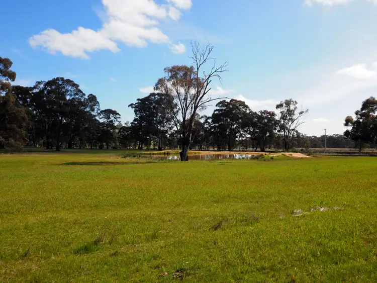 Fifth view of Homely rural property listing, 422 Sims Lane, Homebush VIC 3465