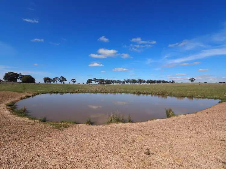 Sixth view of Homely rural property listing, 422 Sims Lane, Homebush VIC 3465