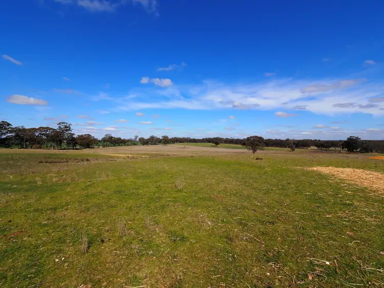 Seventh view of Homely rural property listing, 422 Sims Lane, Homebush VIC 3465