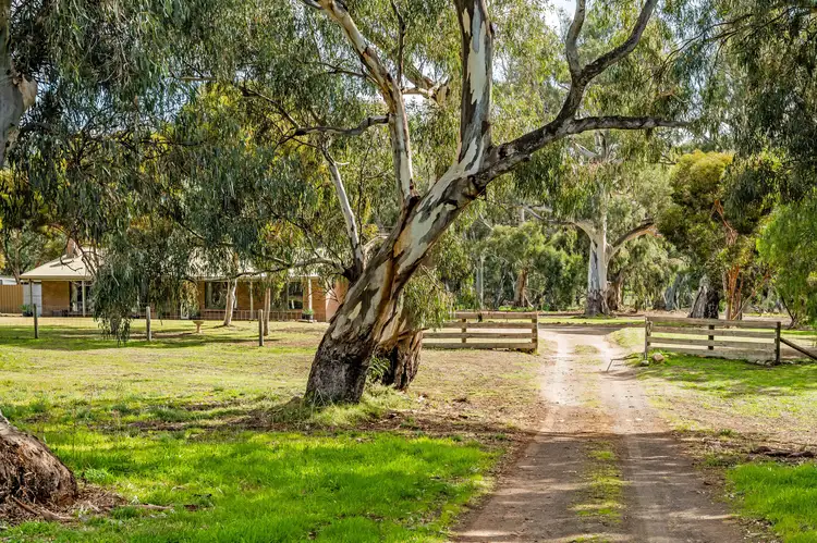Sixth view of Homely house listing, 228 Bundilla Road, Cambrai SA 5353