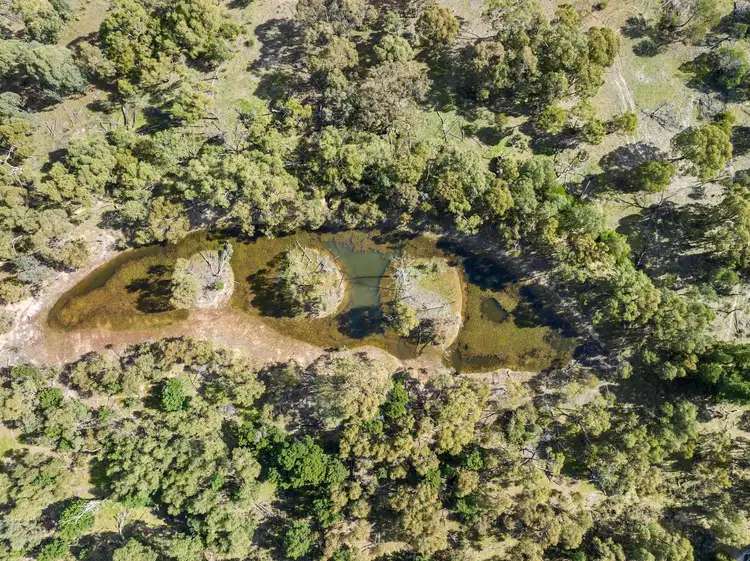 Sixth view of Homely rural property listing, C/A 60, 29, 28, 27, Bunjils Cave Road, Black Range VIC 3381
