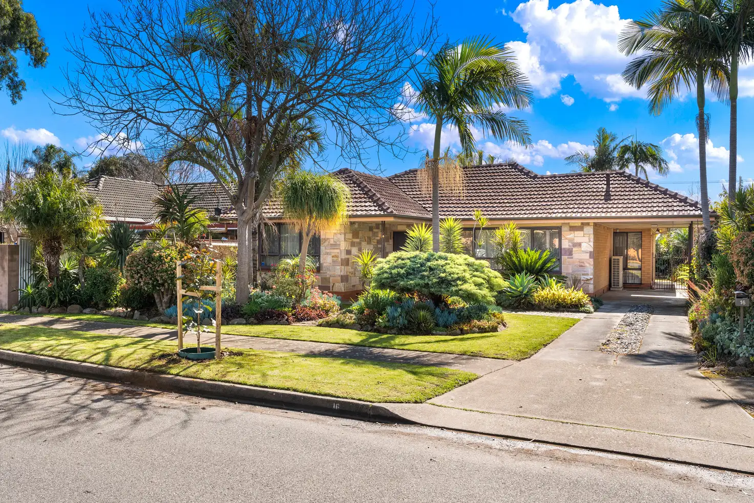 Main view of Homely house listing, 16 Tilley Court, Marion SA 5043