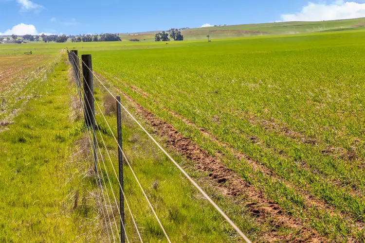 Second view of Homely rural property listing, 'Acacia' Acacia Road, Hanson SA 5417