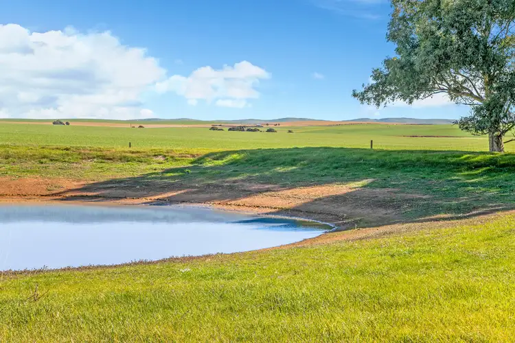 Fourth view of Homely rural property listing, 'Acacia' Acacia Road, Hanson SA 5417