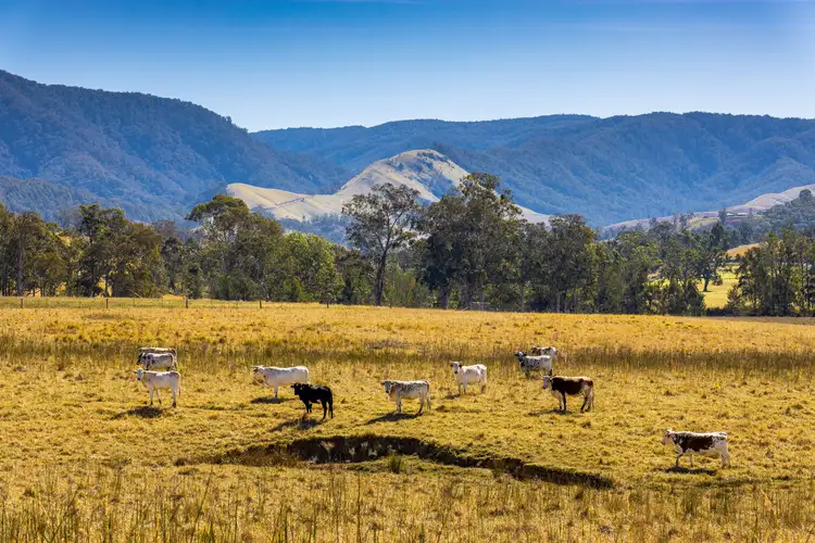 Third view of Homely rural property listing, 2677 Scone Road, Cobark NSW 2422