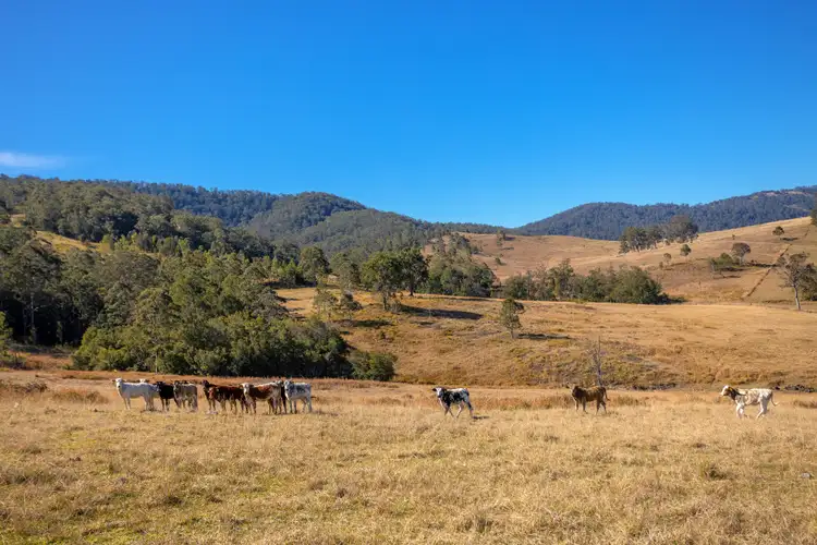 Sixth view of Homely rural property listing, 2677 Scone Road, Cobark NSW 2422