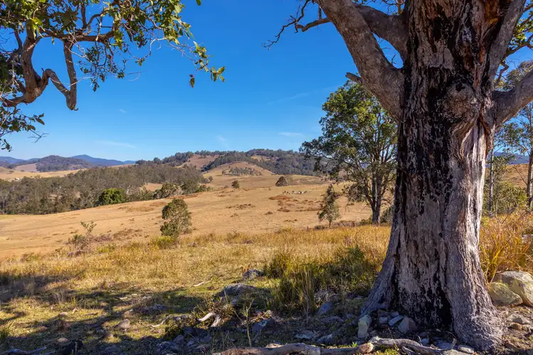 Seventh view of Homely rural property listing, 2677 Scone Road, Cobark NSW 2422