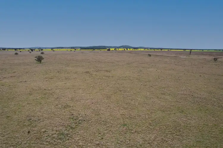 Third view of Homely rural property listing, 'Weona' 307 Taylors Lane, Barmedman NSW 2668