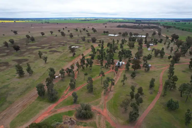 Fourth view of Homely rural property listing, 'Weona' 307 Taylors Lane, Barmedman NSW 2668