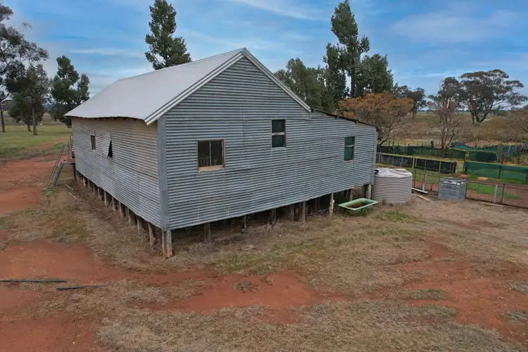 Seventh view of Homely rural property listing, 'Weona' 307 Taylors Lane, Barmedman NSW 2668