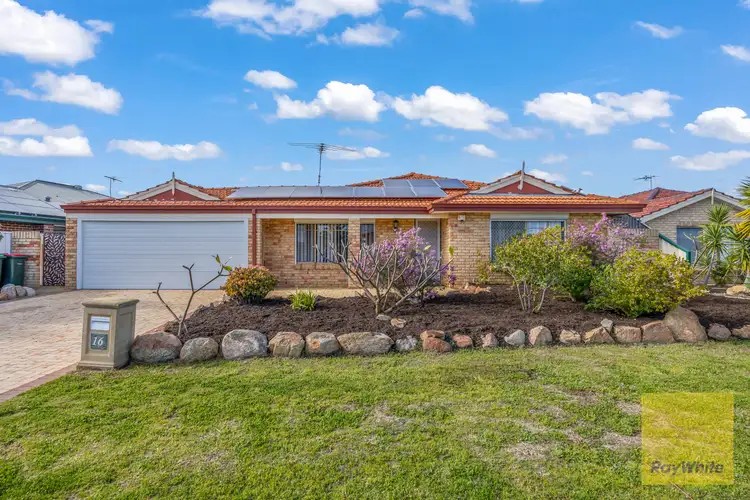 Third view of Homely house listing, 16 Ormiston Gardens, Clarkson WA 6030