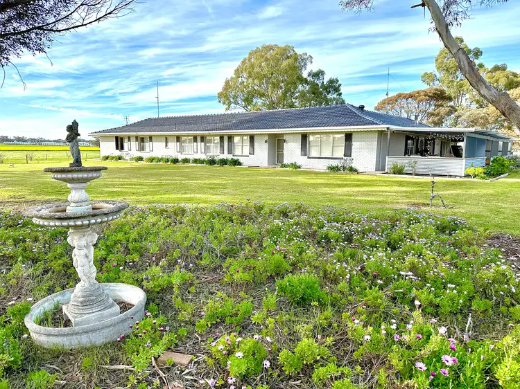 20 Hubl Road, Bordertown SA 5268