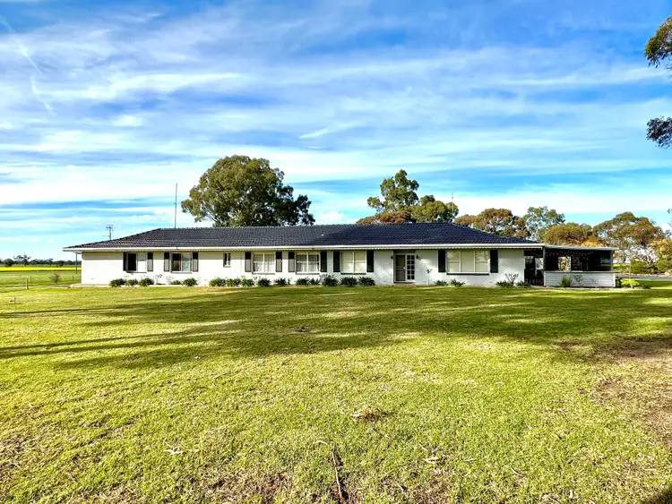 Second view of Homely house listing, 20 Hubl Road, Bordertown SA 5268