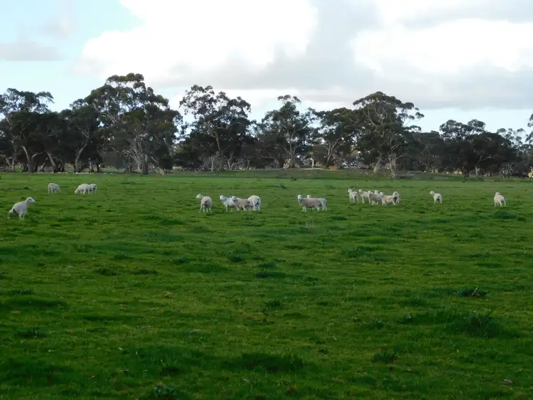 Sixth view of Homely rural property listing, 1878 Cannawigara Road, Bordertown SA 5268