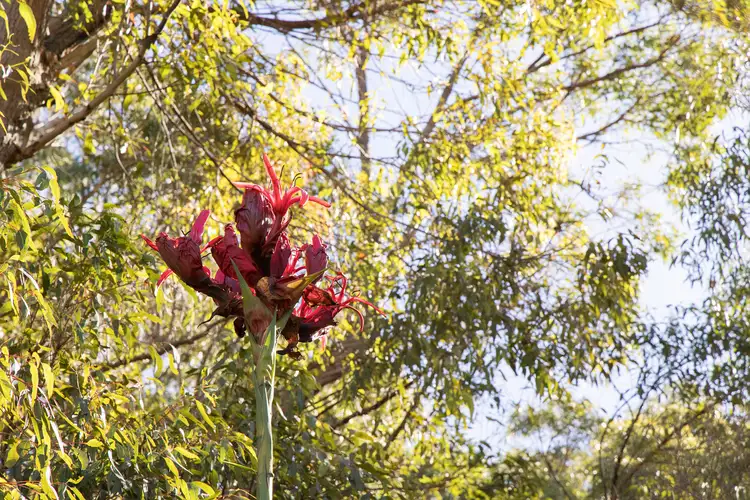 Third view of Homely land listing, 31 Tareebin Road, Nelson Bay NSW 2315