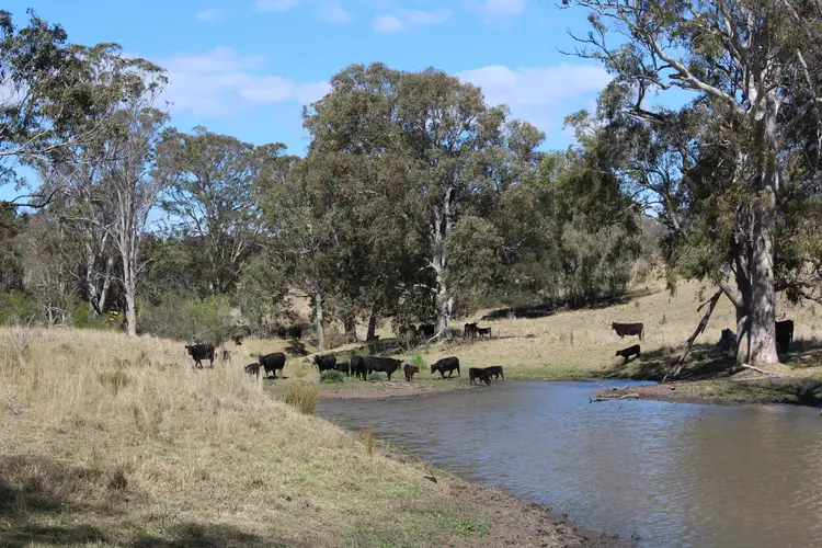 128 Homan Road, Killarney QLD 4373