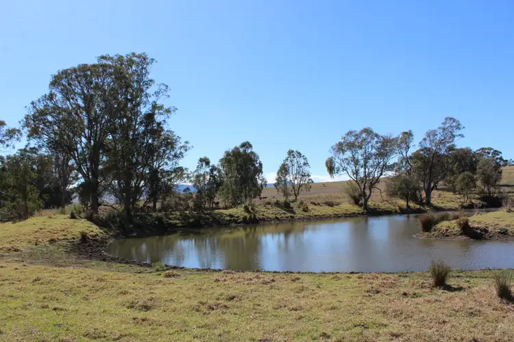 Fourth view of Homely rural property listing, 128 Homan Road, Killarney QLD 4373
