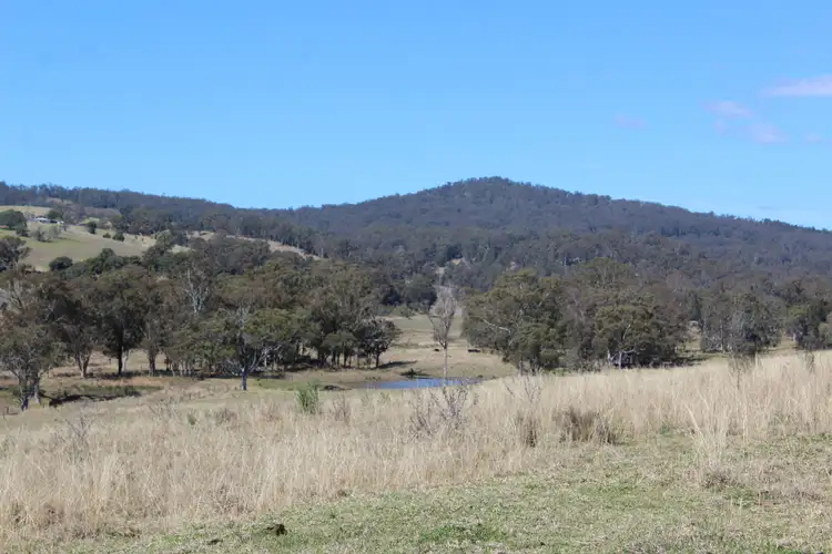Fifth view of Homely rural property listing, 128 Homan Road, Killarney QLD 4373
