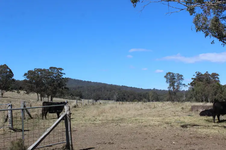 Sixth view of Homely rural property listing, 128 Homan Road, Killarney QLD 4373