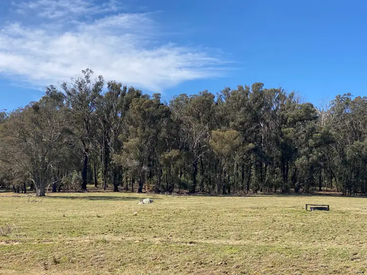 Second view of Homely rural property listing, 473 Tudor Valley, Braidwood NSW 2622