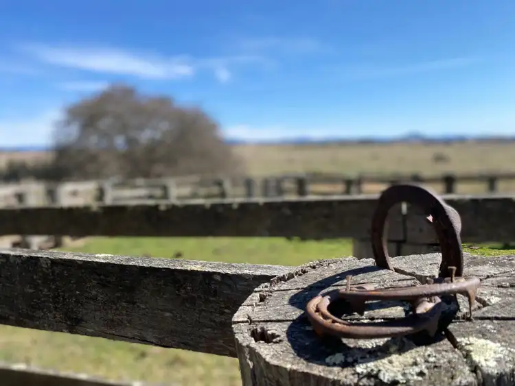 Third view of Homely rural property listing, 473 Tudor Valley, Braidwood NSW 2622