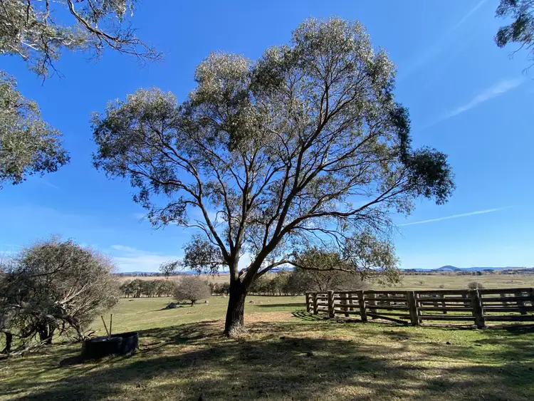 Fourth view of Homely rural property listing, 473 Tudor Valley, Braidwood NSW 2622
