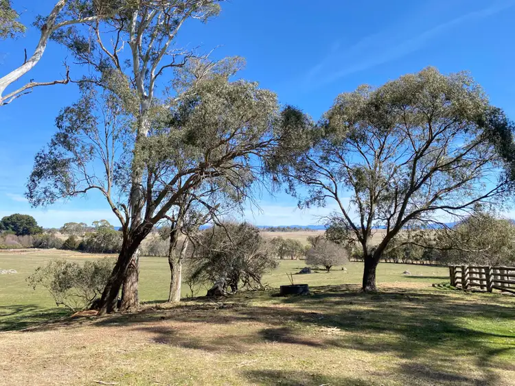 Fifth view of Homely rural property listing, 473 Tudor Valley, Braidwood NSW 2622