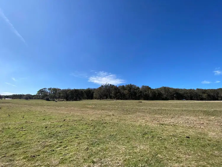 Sixth view of Homely rural property listing, 473 Tudor Valley, Braidwood NSW 2622