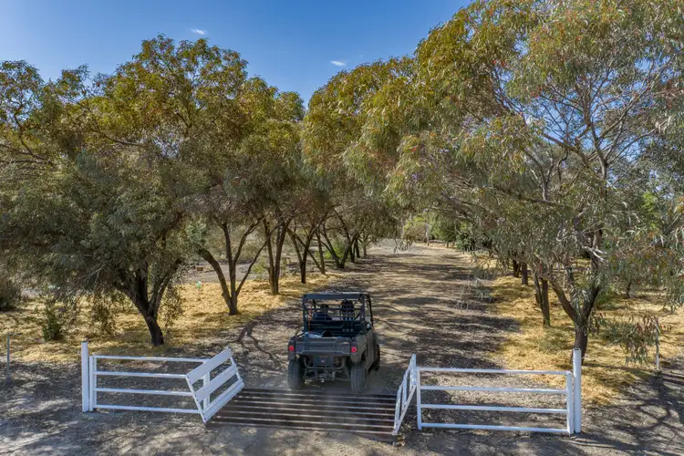 Seventh view of Homely rural property listing, 498 Strangford Road, Croppa Creek NSW 2411