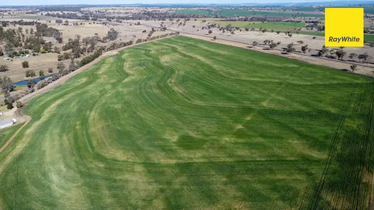 Second view of Homely rural property listing, 11608 Gwydir Highway, Inverell NSW 2360