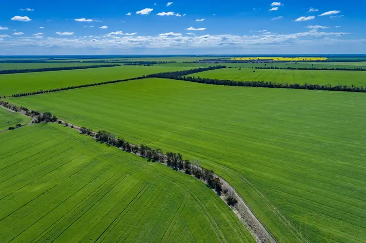 498 Strangford Road, Moree NSW 2400