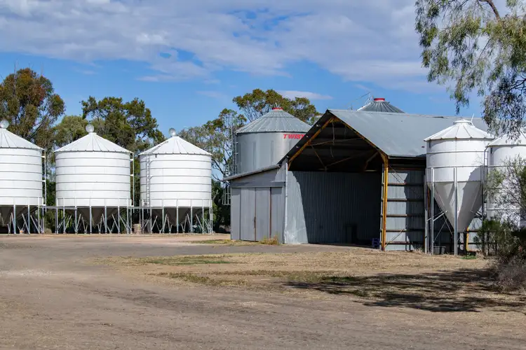 Seventh view of Homely rural property listing, 498 Strangford Road, Moree NSW 2400