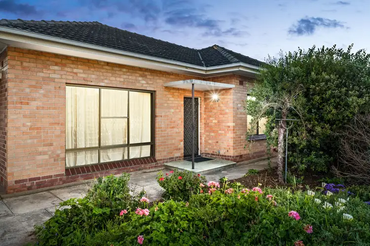 6 Byron Avenue, Plympton Park SA 5038