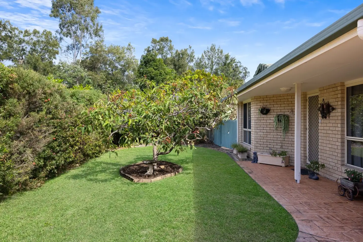 Main view of Homely house listing, 16 Haddys Close, Mountain Creek QLD 4557