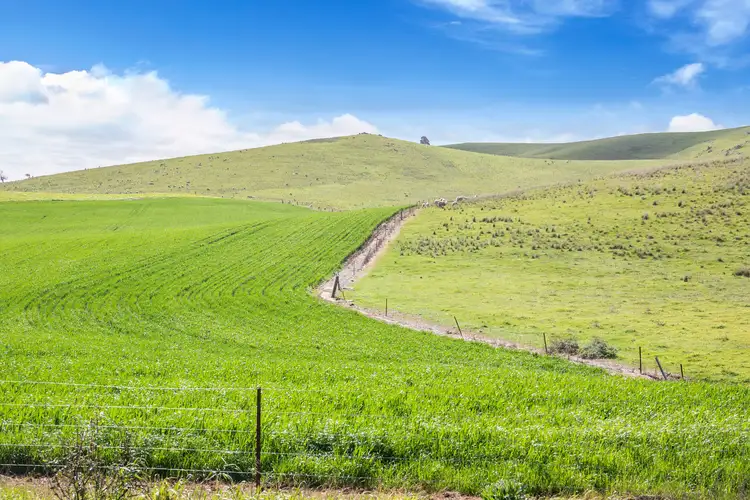 Second view of Homely rural property listing, 'Hills Block' Gants Hill Road, Riverton SA 5412