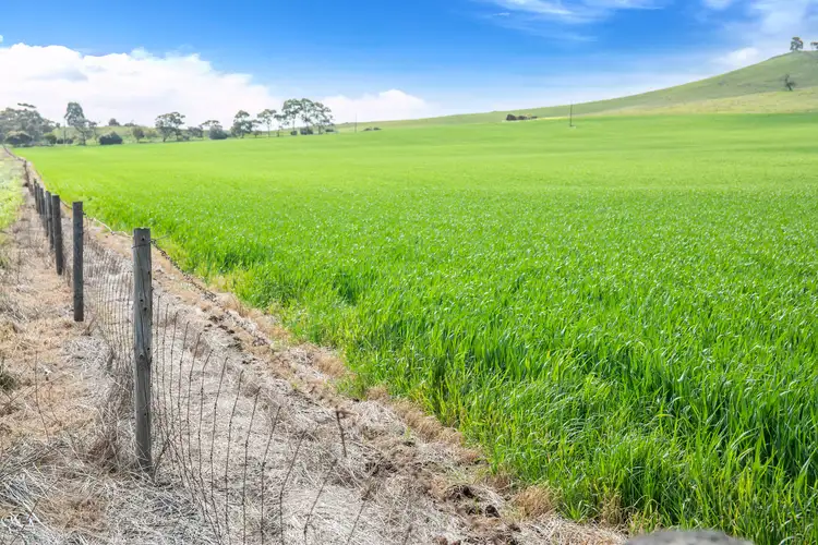 Fifth view of Homely rural property listing, 'Hills Block' Gants Hill Road, Riverton SA 5412
