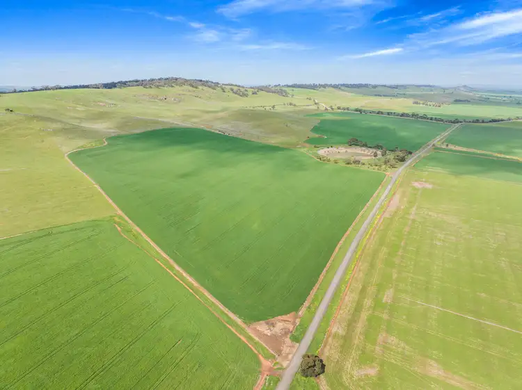 Seventh view of Homely rural property listing, 'Hills Block' Gants Hill Road, Riverton SA 5412