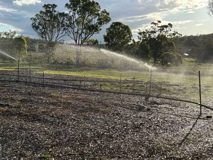 Fourth view of Homely rural property listing, 273 Woolmer Road, Woolmer QLD 4352