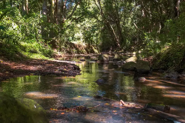 Fifth view of Homely rural property listing, 10 Byron Creek Road, Coopers Shoot NSW 2479