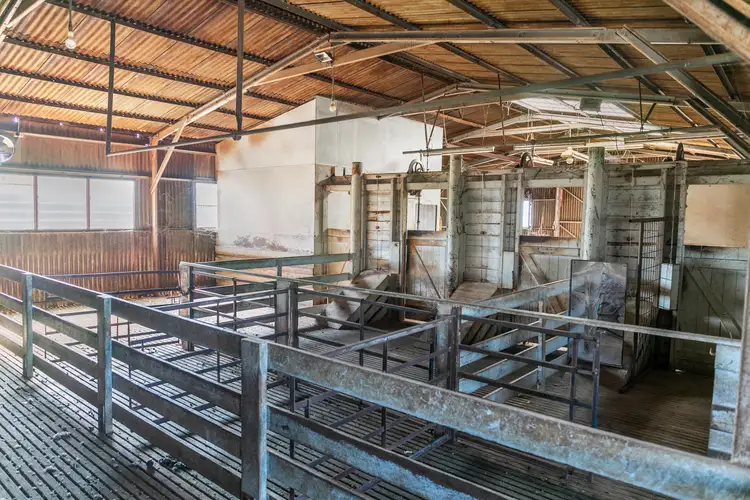Fifth view of Homely rural property listing, 'Highview' Appila-Tarcowie Road, Appila SA 5480