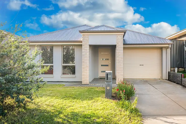 37 Albion Court