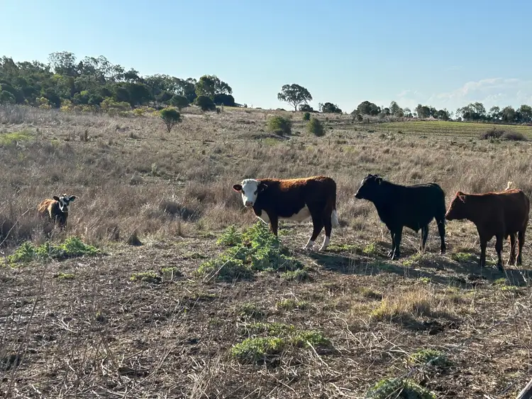 Lot 26 McGrath Road, Linthorpe QLD 4356