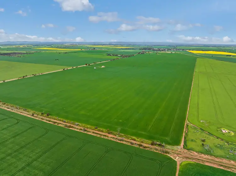 Second view of Homely rural property listing, 'Sellecks' Harris Road, Wasleys SA 5400
