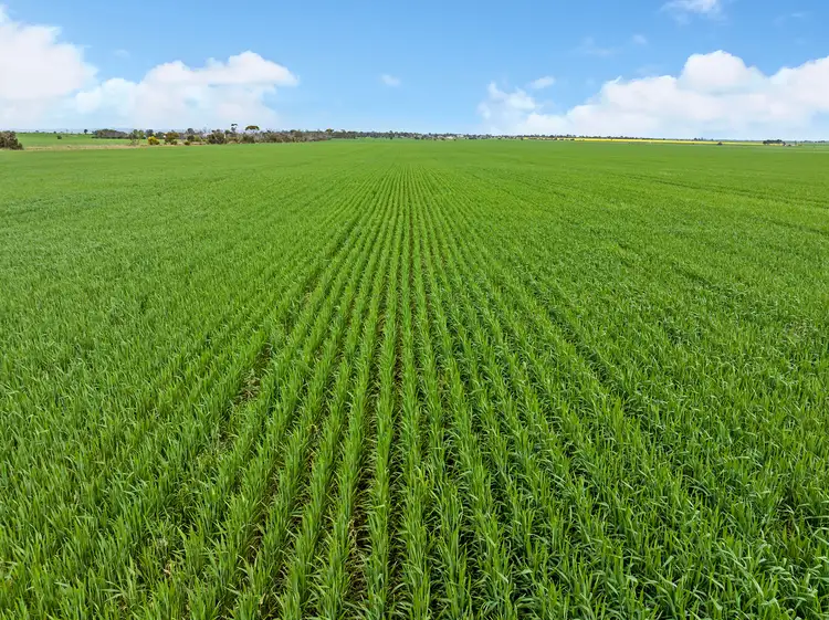 Third view of Homely rural property listing, 'Sellecks' Harris Road, Wasleys SA 5400